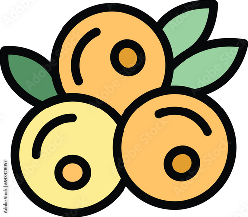 Berry icon outline vector. Paleo diet. Vegan free color flat
