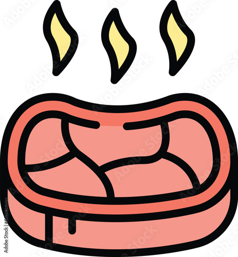 Bbq steak icon outline vector. Meat beef. Rib ham color flat