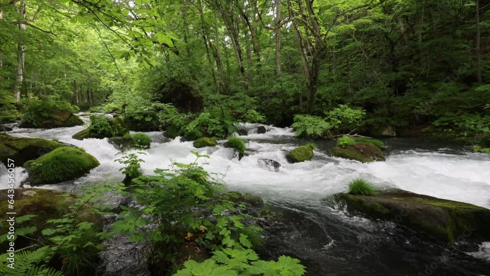 Summer green colors of Oirase River, located at Towada, Aomori, Japan Summer green colors of Oirase River, located at Towada, Aomori, Japan