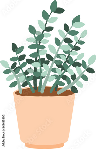 Potted ZZ Plant Illustration