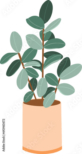 Potted Rubber Plant Illustration