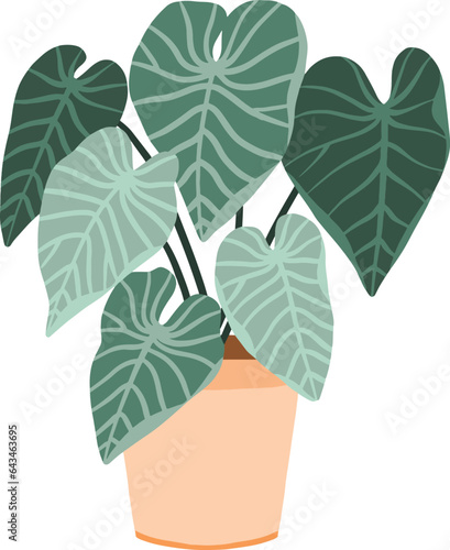 Potted Philodendron Plant Illustration