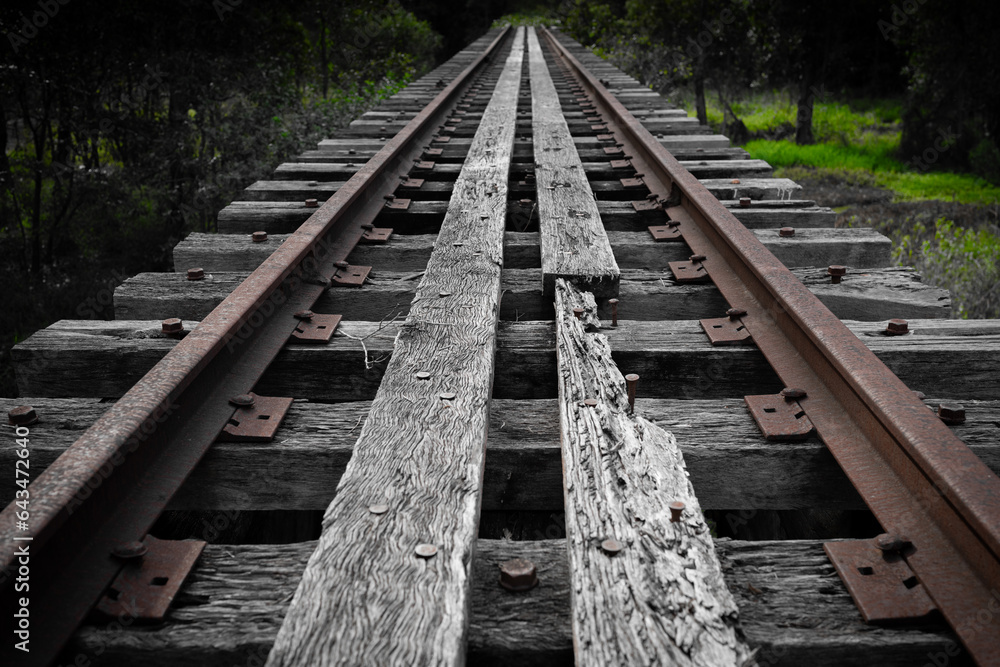 Fototapeta premium An abandoned train track heading off into the distance through a forest.