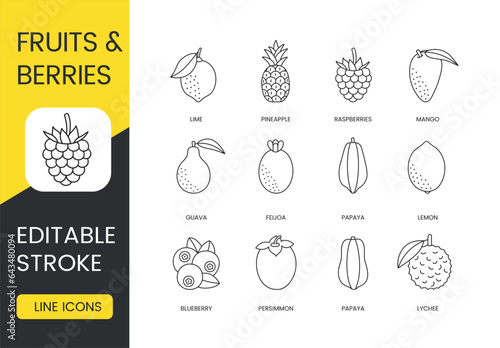 Fruits and berries set of line icons in vector, editable stroke. Lychee and papaya, persimmon and blueberry, lemon and feijoa, guava and mango, raspberries and pineapple, lime