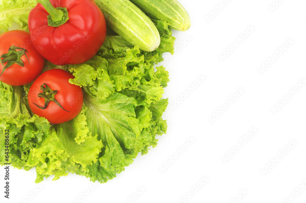 Cucumbers, pepper and tomatoes on salad leaves background isolated on white. Copy space for text.	