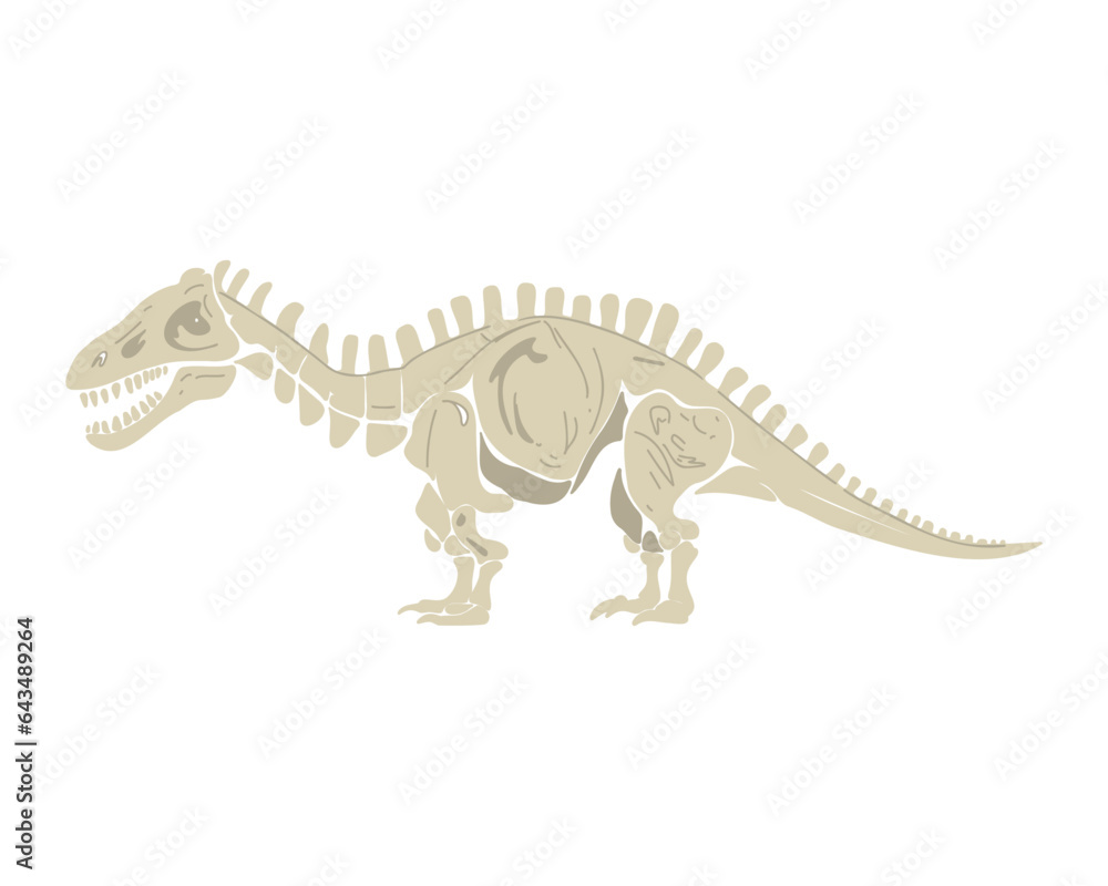 Obraz premium Dinosaur skeleton, vector illustration