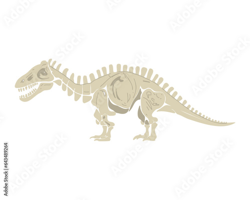 Dinosaur skeleton  vector illustration