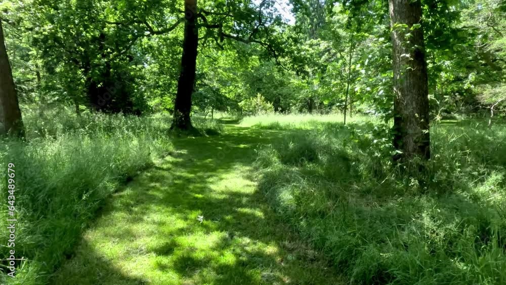 POV Walking Along Cut Grass Garden Path In Woodland Landscape With Trees POV Walking Along Cut Grass Garden Path In Woodland Landscape With Trees