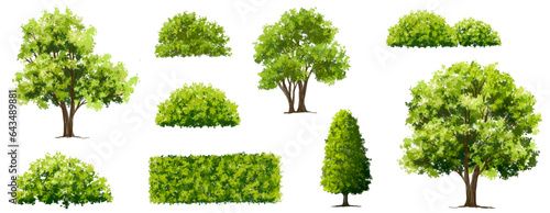 Vector of green grass or shrub isolated on white background,tree elevation for landscape concept,environment panorama scene,eco design,watercolor meadow for spring