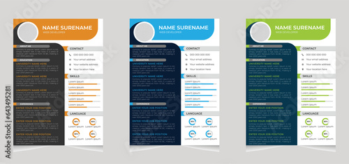 Professional cv or resume template design or cover letter with a modern minimal and unique concept	