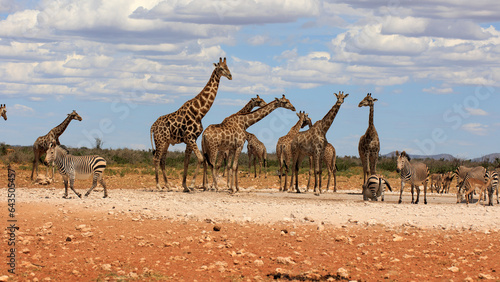 Etosha Nationalpark © Andreas Edelmann