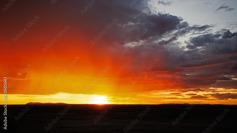 Fototapeta premium Etosha Nationalpark