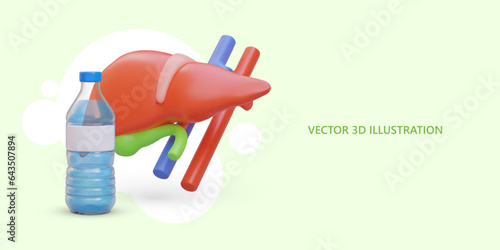3D liver with gall bladder, transparent water bottle. Mineral, natural table water. Restoring salt balance of body. Benefits for internal organs. Horizontal vector banner