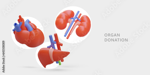 Organ donation. Transplantation. Concept with realistic kidneys, liver, heart. Voluntary help to patient, saving life. World Organ Donor Day. Banner with text