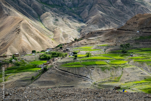 View of the oasis of Lingshed on the trans-Zanskar trek, Ladakh, India photo
