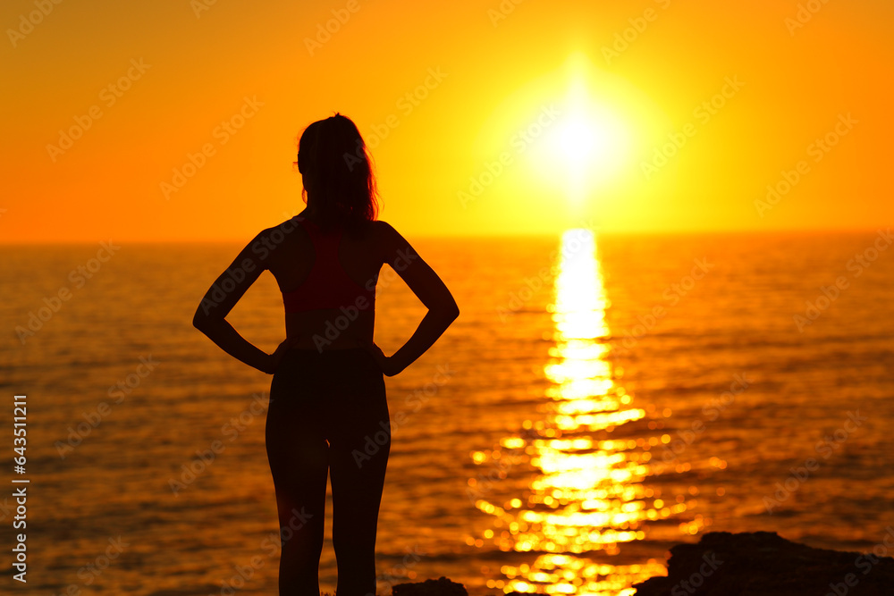 Silhouette of a woman watching sunset