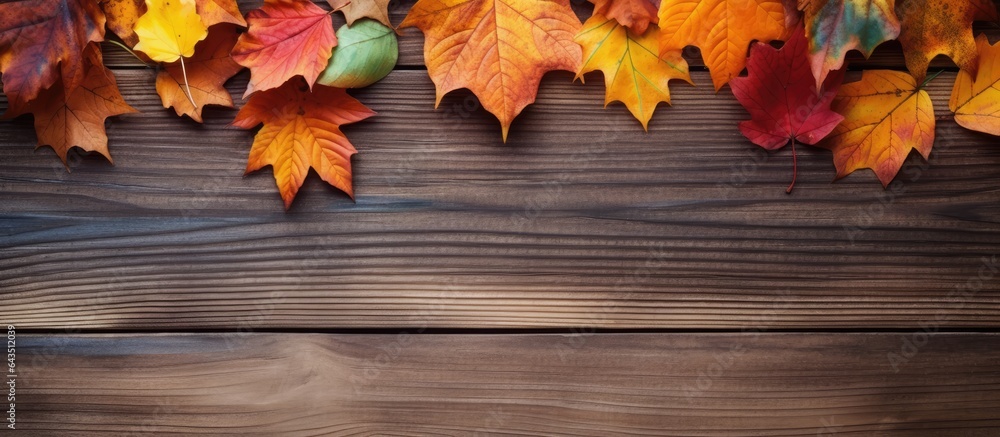 Fall foliage on a wooden backdrop Fall foliage on a wooden backdrop