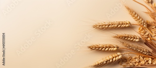 Wheat and grains on neutral...