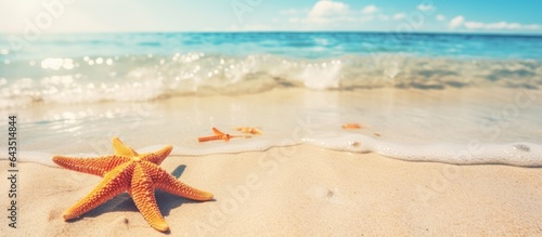 Starfish on the sandy beach...