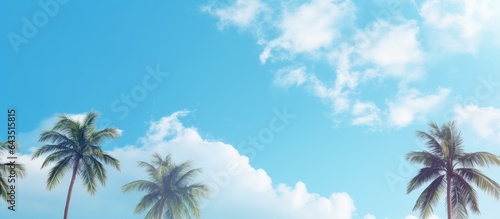 Copy space with palm trees against a blue sky and white clouds