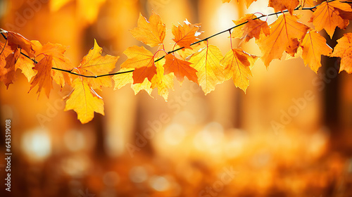 Radiant Autumn Splendor Gorgeous Orange and Yellow Leaves Amid Sunlit Park Bokeh  Creating a Captivating Natural Background. created with Generative AI