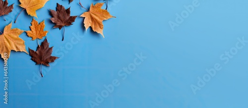 Autumn leaf pattern on blue...