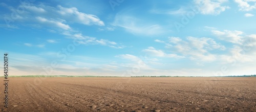 Black soil and blue sky str...