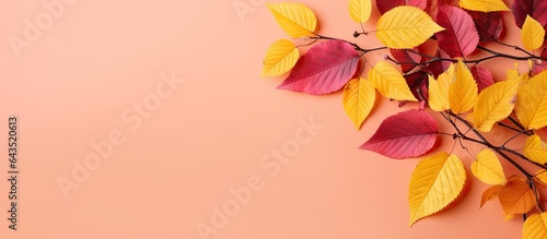 Red leaves in autumn surrounded by yellow with space for text