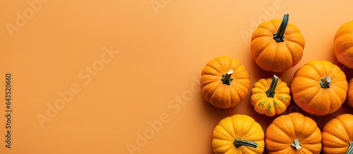 Top view of little orange p...