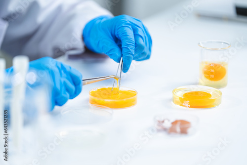 laboratory of chicken egg i...
