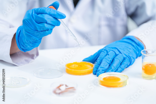 laboratory of chicken egg i...