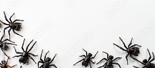 White background with spiders as Halloween decorations top view flat lay copy space © vxnaghiyev