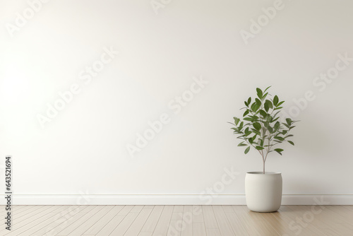 Empty White Living Room, Single Potted Plant. Сoncept Minimalist Decorating Ideas, Implementing Peaceful Greenery Indoors, Working With An Empty Room, Creative Uses Of A Single Plant © Anastasiia