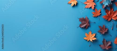 Autumn leaf pattern on blue...