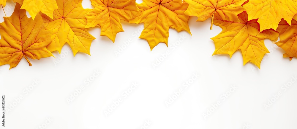 Autumn holiday banner featuring a stack of yellow maple leaves on a white background with room for text Autumn holiday banner featuring a stack of yellow maple leaves on a white background with room for text