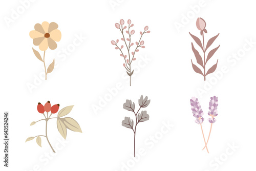 Set of hand drawn flowers, leaves and branches. Vector illustration.