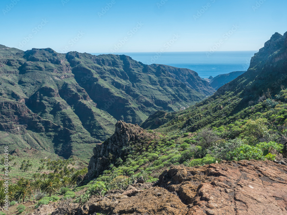 Sceniic landscape at hiking trail through Barranco de Guarimiar Gorge. Green mountain canyon slopes with palm trees and succulent vegetation. La Gomera, Canary Islands, Spain, Europe.
