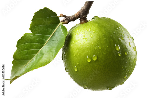 Monk fruit, a natural sweetener with health benefits, isolated on transparent Background © Ameer