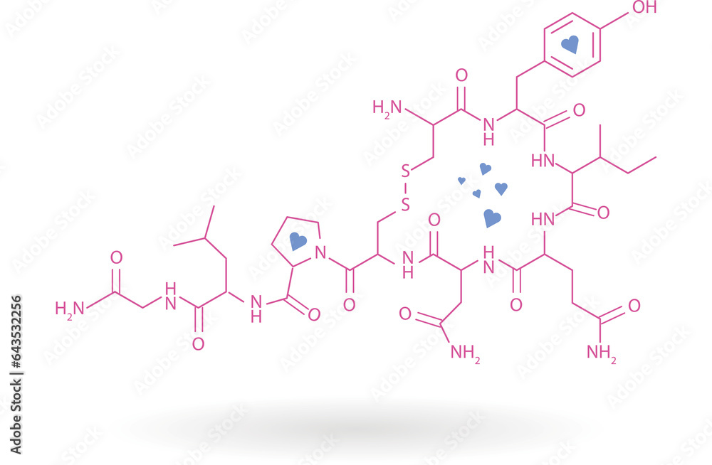 Chemical structure of oxytocin on white background, with hearts.Chemical concept of happiness. Chemical structure of oxytocin on white background, with hearts.Chemical concept of happiness.