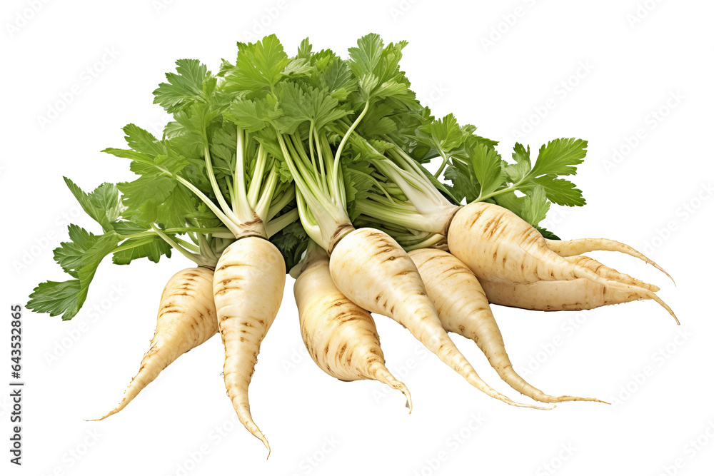 Fresh and organic parsnip root vegetable isolated on transparent background - obrazy, fototapety, plakaty 