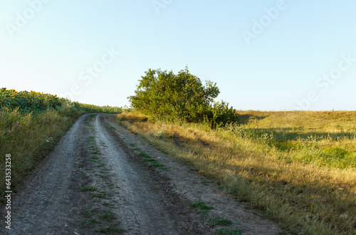 Country road running between fields, on one side by a sunflower field and hills, summer hot day