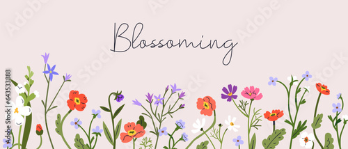 Floral banner background design. Botanical nature card with delicate field flowers, blossomed meadow plants, wildflowers border. Spring and summer blooms, leaves decoration. Flat vector illustration