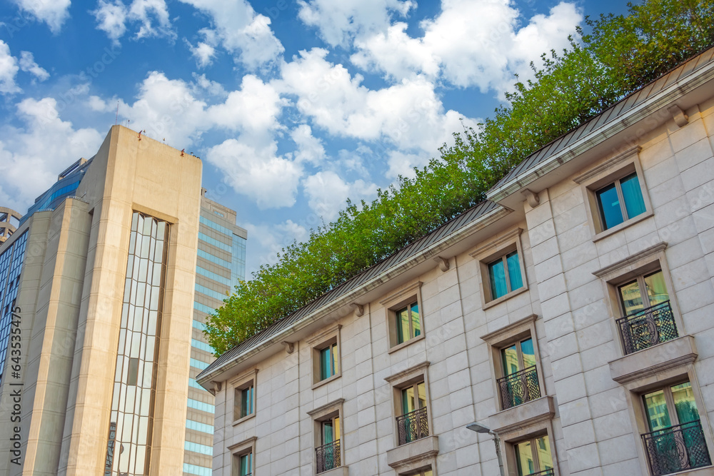 Green bushes with leaves on the roof of an old monumental historical building, view upstairs to the facade with windows. Green bushes with leaves on the roof of an old monumental historical building, view upstairs to the facade with windows.