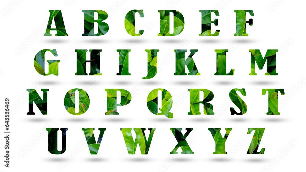 Leaf font A-Z isolated on white background. Leafs font A,B,C,D made of Real alive leaves with Previous paper cut shape of font. Leafs font.