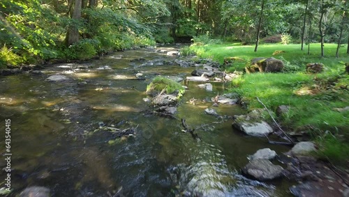 Small river flowing through the forest