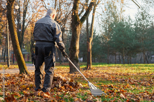 Unrecognizable municipal male worker using big rake to gather fallen leaves in pile in autumn. Back view of gray haired man in uniform raking dry leaves in city park. Concept of seasonal work.