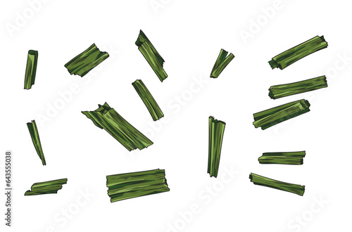 Chopped lemongrass plant, hand drawn sketch vector illustration isolated on white background.