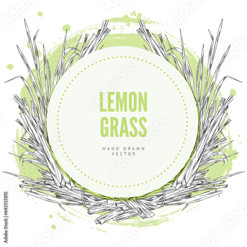 Lemongrass hand drawn vector design label round form, engraved stems of lemongrass and pieces on green watercolor spot