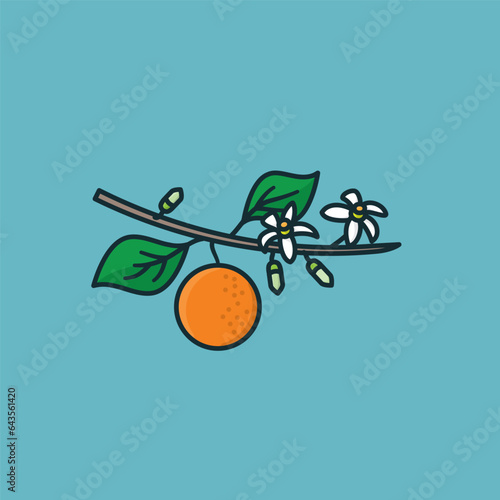 orange tree branch with fruit and blossoms vector illustration for Orange Blossom Day on June 27