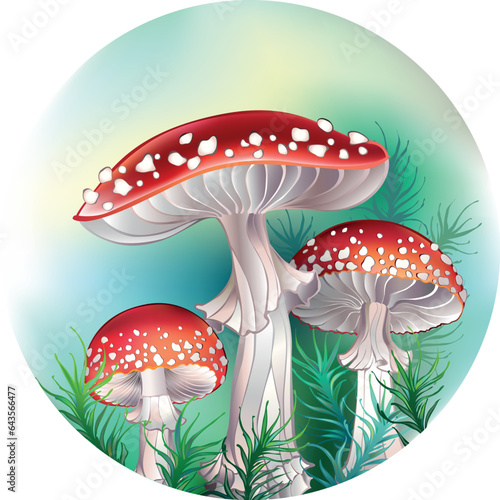 Red fly agarics in circle